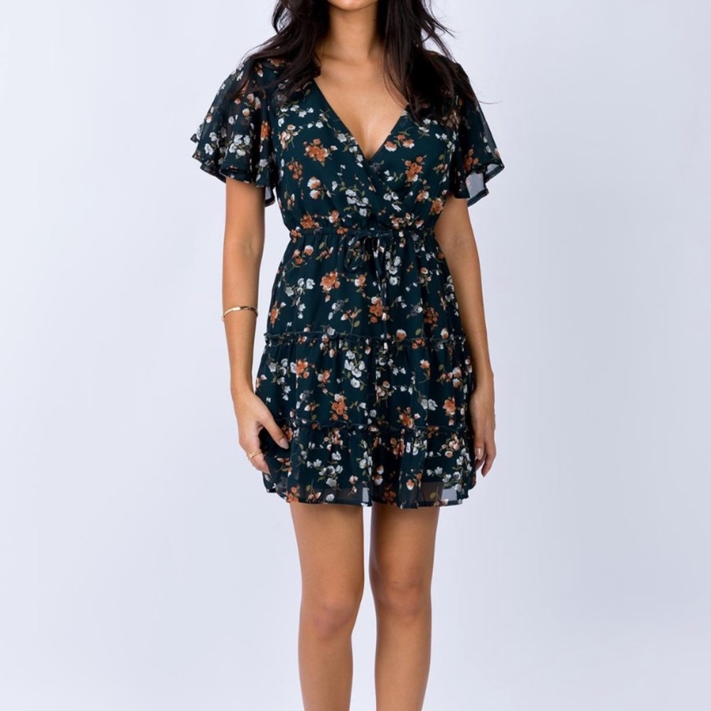 Princess Polly Dress